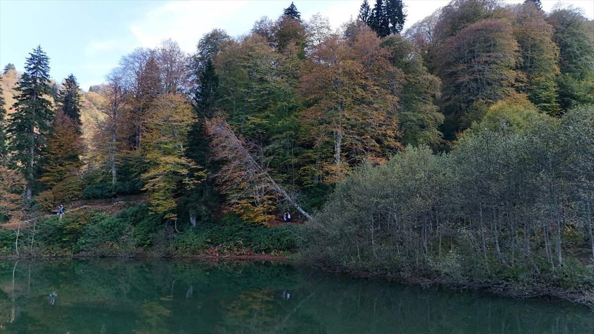 Artvin'de yerli ve yabancı turistlerin en çok ziyaret ettiği yerler arasındaki Borçka Karagöl...