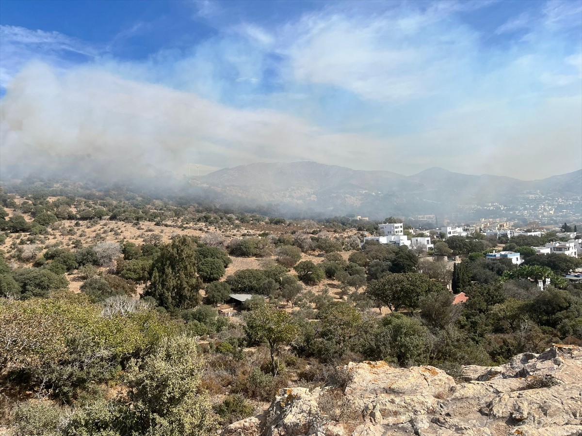 Muğla'nın Bodrum ilçesinde makilik alanda çıkan yangın, Muğla Orman Bölge Müdürlüğü ve itfaiye...