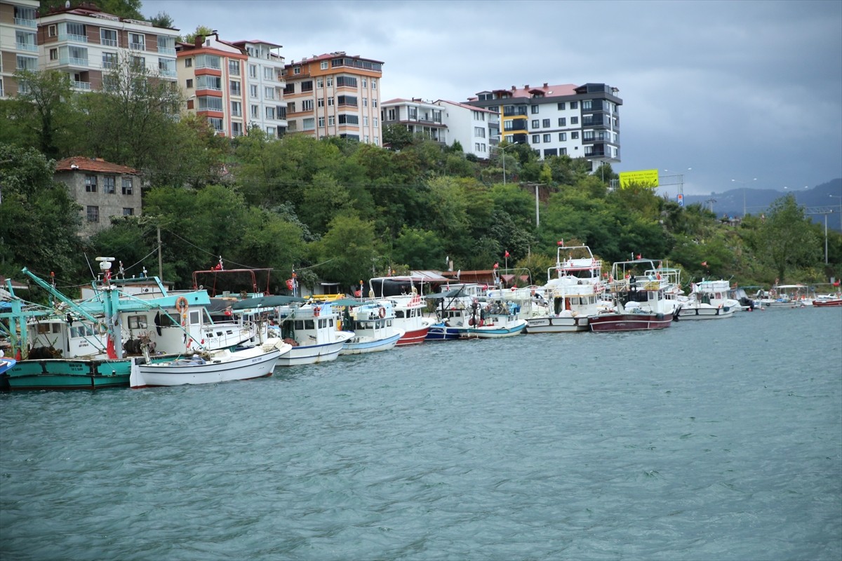 Ordu'da olumsuz hava koşulları nedeniyle balıkçılar ava çıkamadı. Sağanağın etkili olduğu kentte...