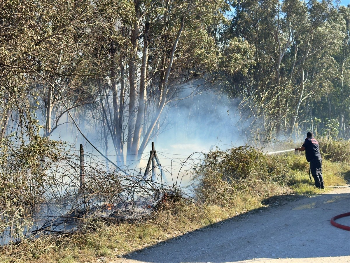 Adana'nın Ceyhan ilçesinde çalılıkta başlayıp tarım alanına sıçrayan yangın kontrol altına...