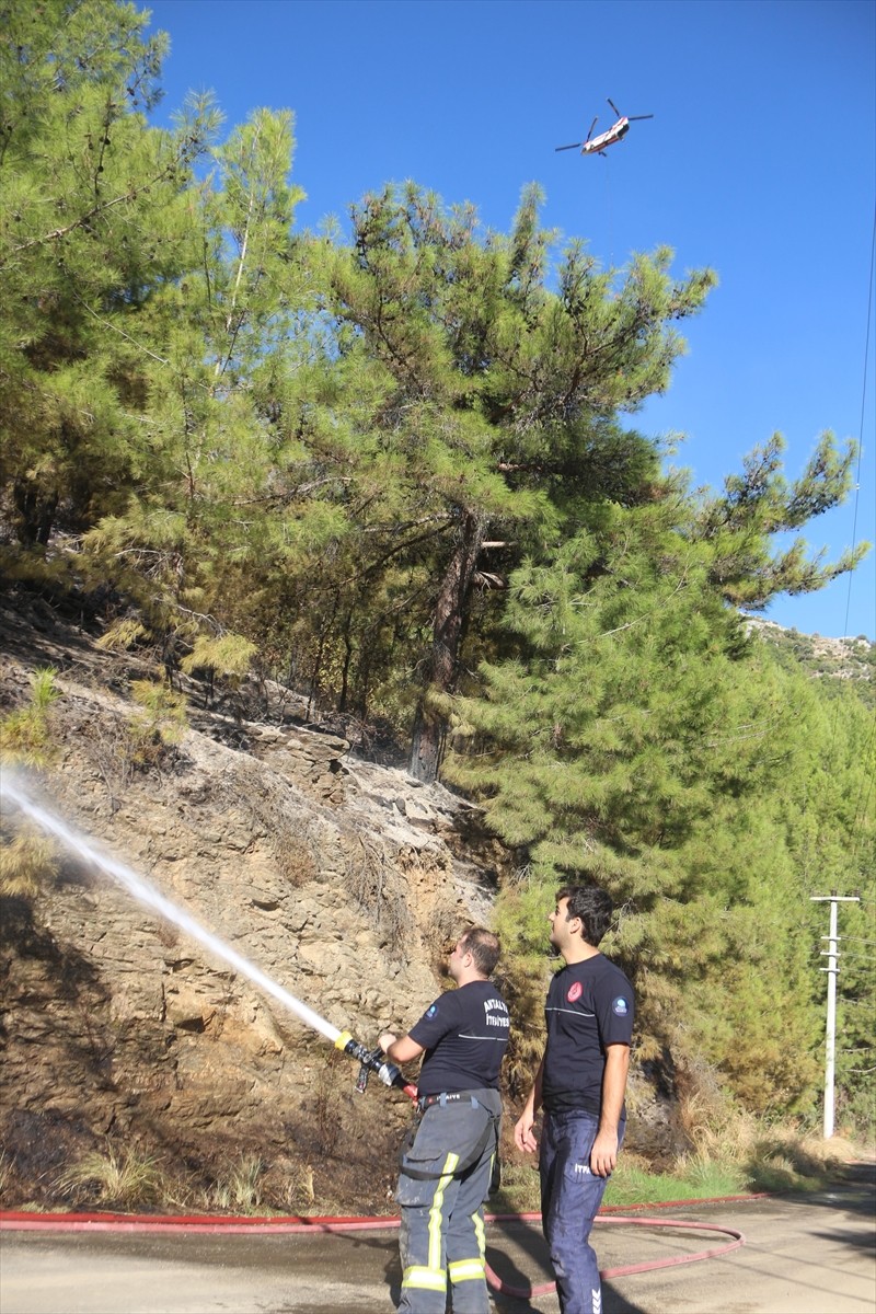 Antalya'nın Alanya ilçesinde çıkan orman yangını kontrol altına alındı.  