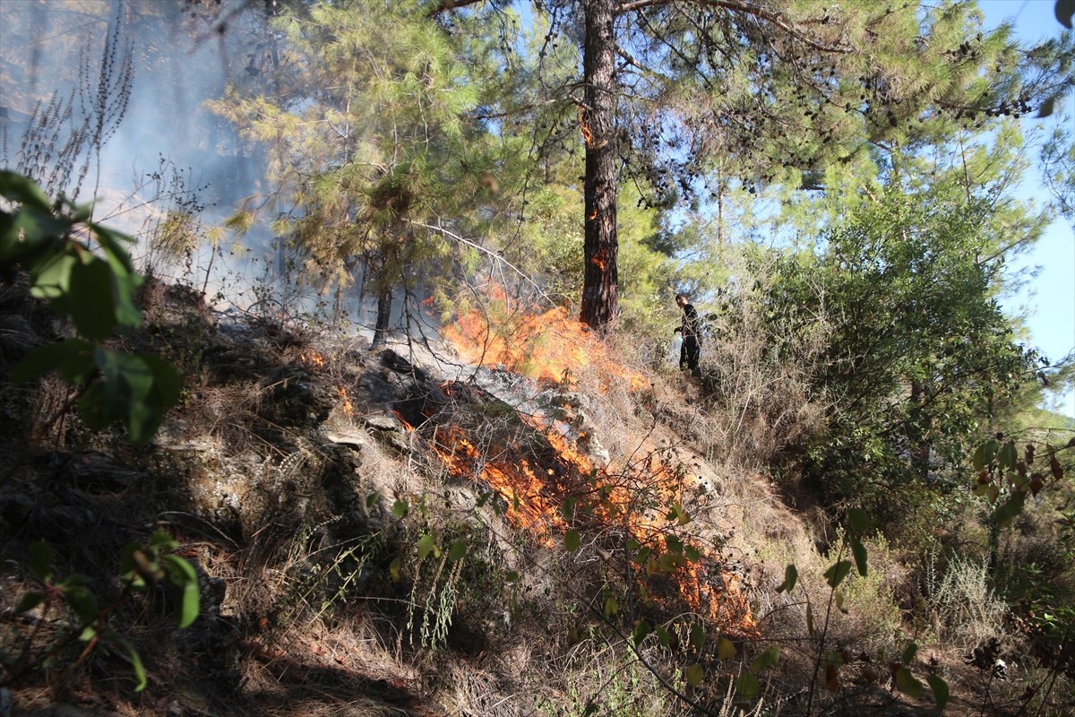 Antalya'nın Alanya ilçesinde çıkan orman yangını kontrol altına alındı.  