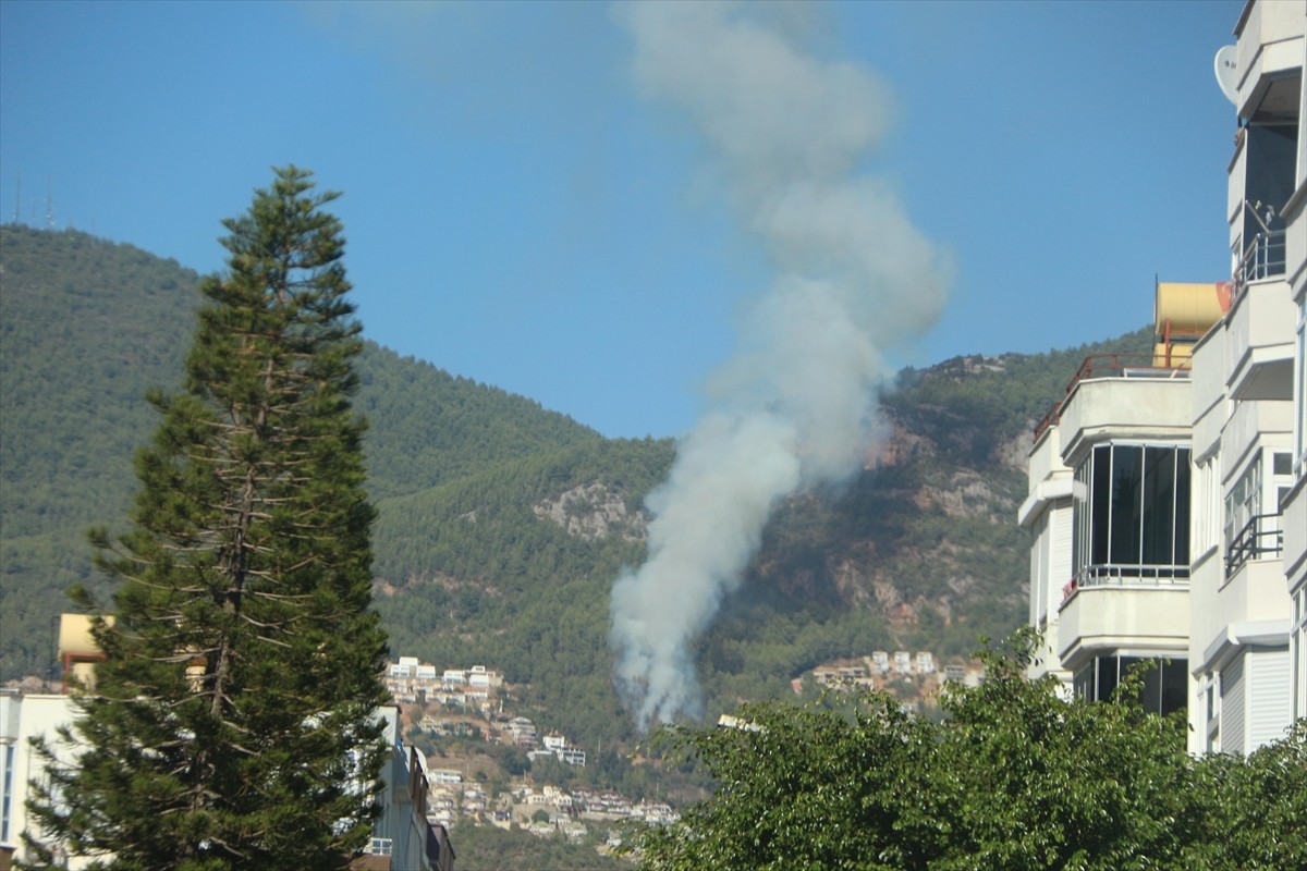 Antalya'nın Alanya ilçesinde çıkan orman yangını kontrol altına alındı.  