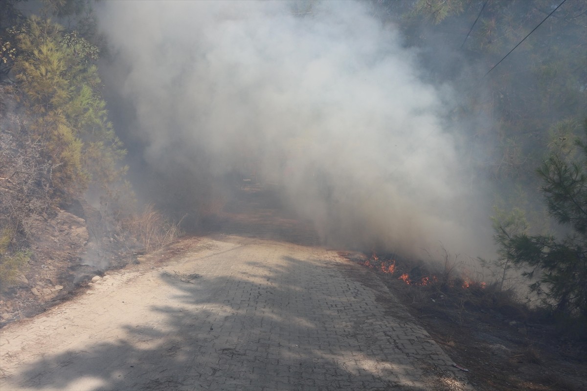 Antalya'nın Alanya ilçesinde çıkan orman yangını kontrol altına alındı.  