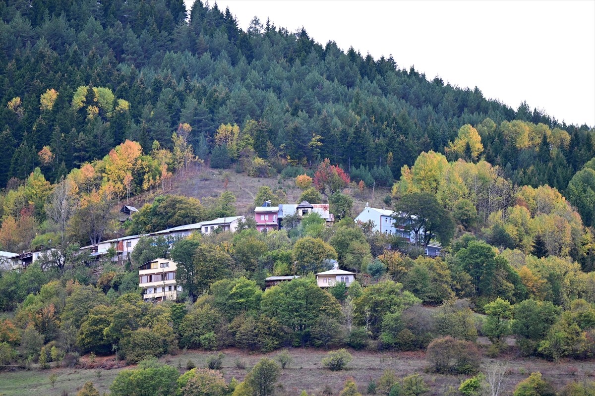 Doğu Karadeniz'i Doğu Anadolu'ya bağlayan önemli kara yolu güzergahlarından Zigana Dağı Geçidi...