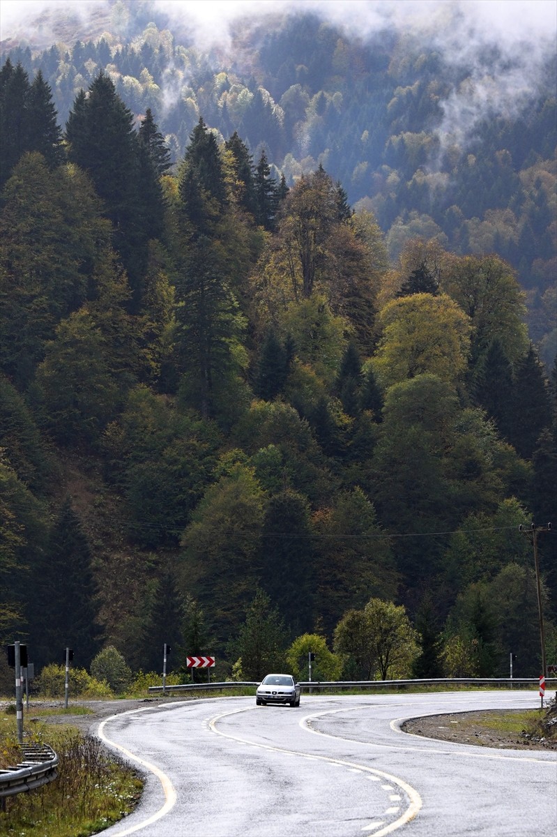 Doğu Karadeniz'i Doğu Anadolu'ya bağlayan önemli kara yolu güzergahlarından Zigana Dağı Geçidi...