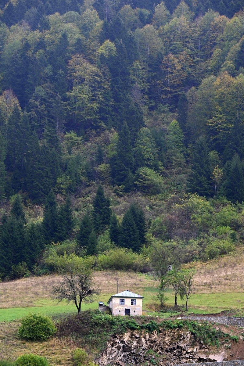 Doğu Karadeniz'i Doğu Anadolu'ya bağlayan önemli kara yolu güzergahlarından Zigana Dağı Geçidi...