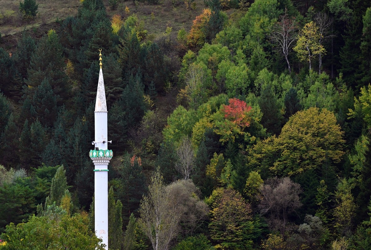 Doğu Karadeniz'i Doğu Anadolu'ya bağlayan önemli kara yolu güzergahlarından Zigana Dağı Geçidi...