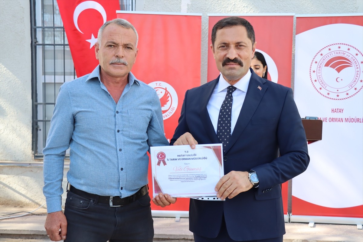 Hatay'da 6 Şubat 2023'teki depremlerden etkilenen damızlık koyun ve keçi yetiştiricisi 116...