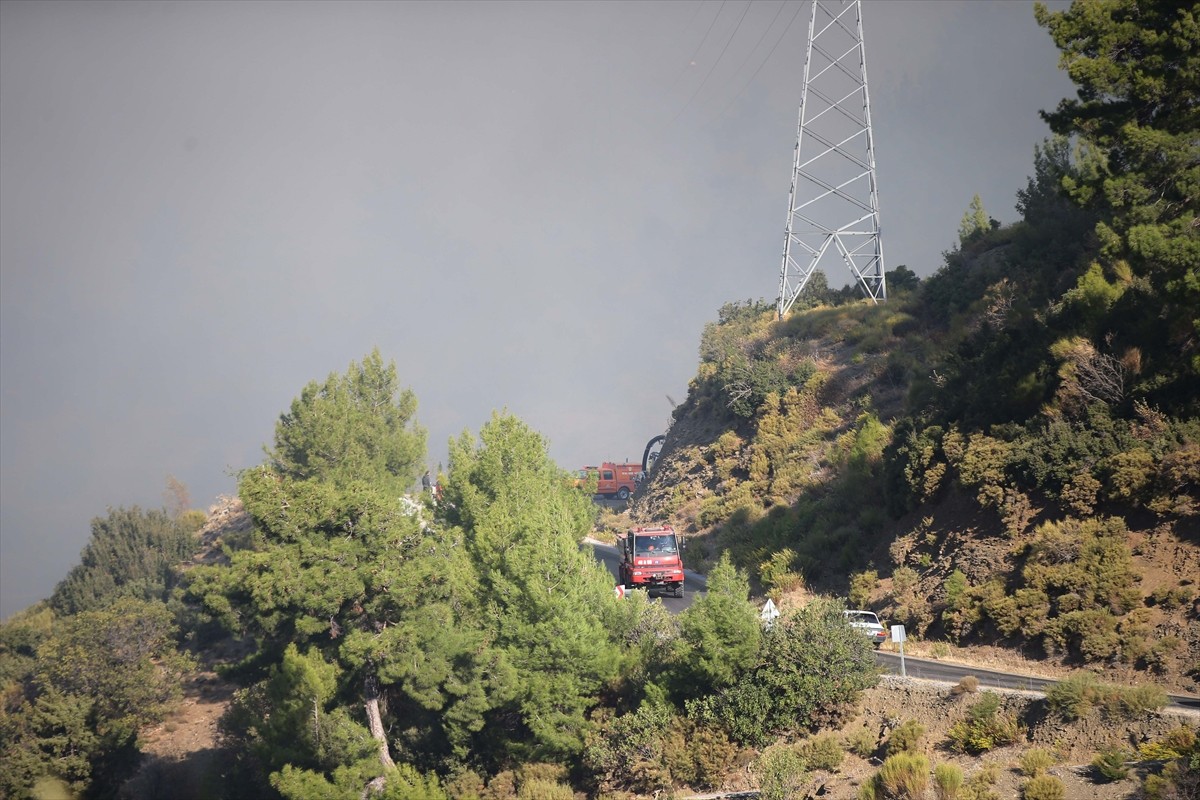 Muğla'nın Dalaman ilçesi Taşbaşı Mahallesi'nde çıkan orman yangınına havadan ve karadan müdahale...