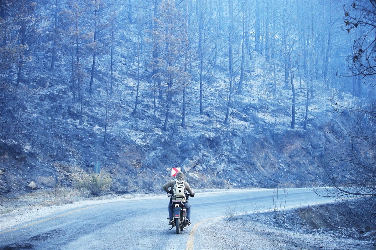 Muğla'nın Dalaman ilçesinde ormanlık alanda çıkan yangına müdahale havadan ve karadan devam...