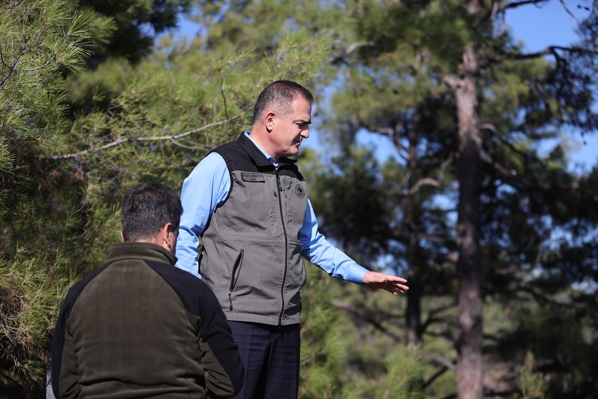 Muğla'nın Dalaman ve Menteşe ilçelerindeki orman yangınlarına havadan ve karadan müdahale sürüyor....