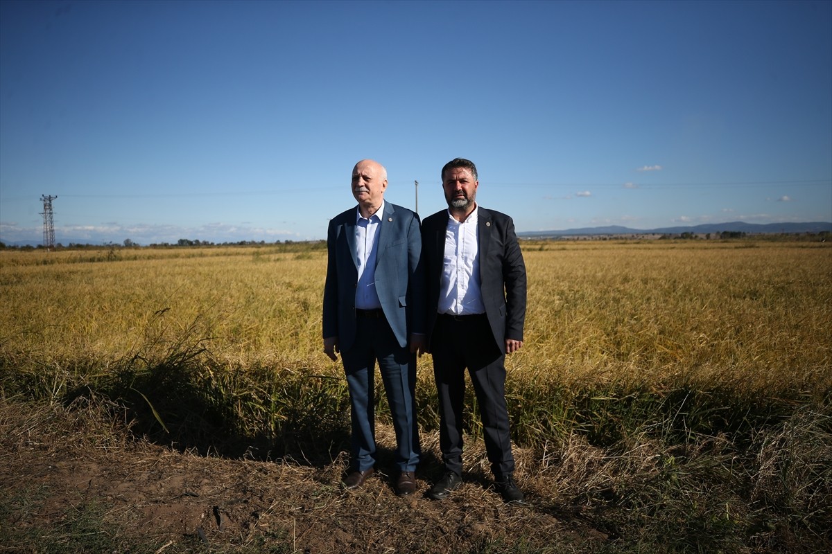 Türkiye Ziraat Odaları Birliği (TZOB) Genel Başkanı Şemsi Bayraktar, Çanakkale'nin Biga ilçesinde...