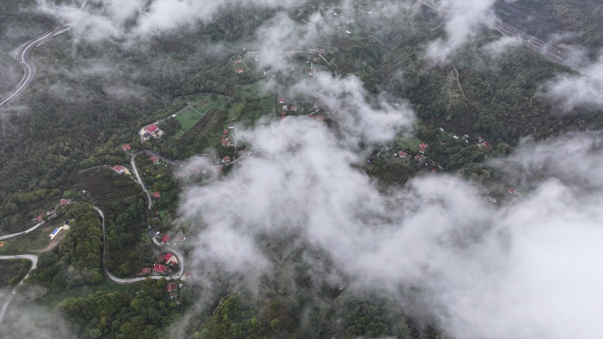 Bolu Dağı'nın Düzce kesiminde sis etkisini gösterdi. Bölgeyi kaplayan sis, havadan...