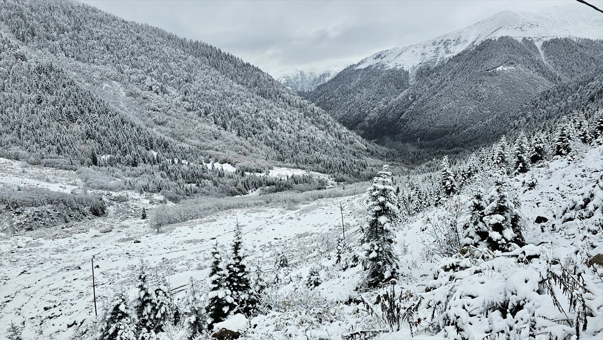 Rize'nin Çamlıhemşin ilçesinde baharda hayvanlarıyla yaylalara çıkan vatandaşlar köylere dönüş...