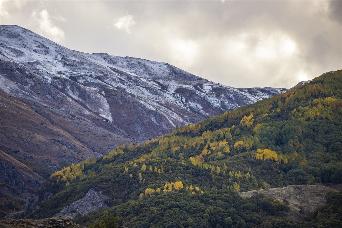 Tunceli'de bazı dağların zirveleri kar yağışıyla beyaza büründü. Kentte hava sıcaklığının...