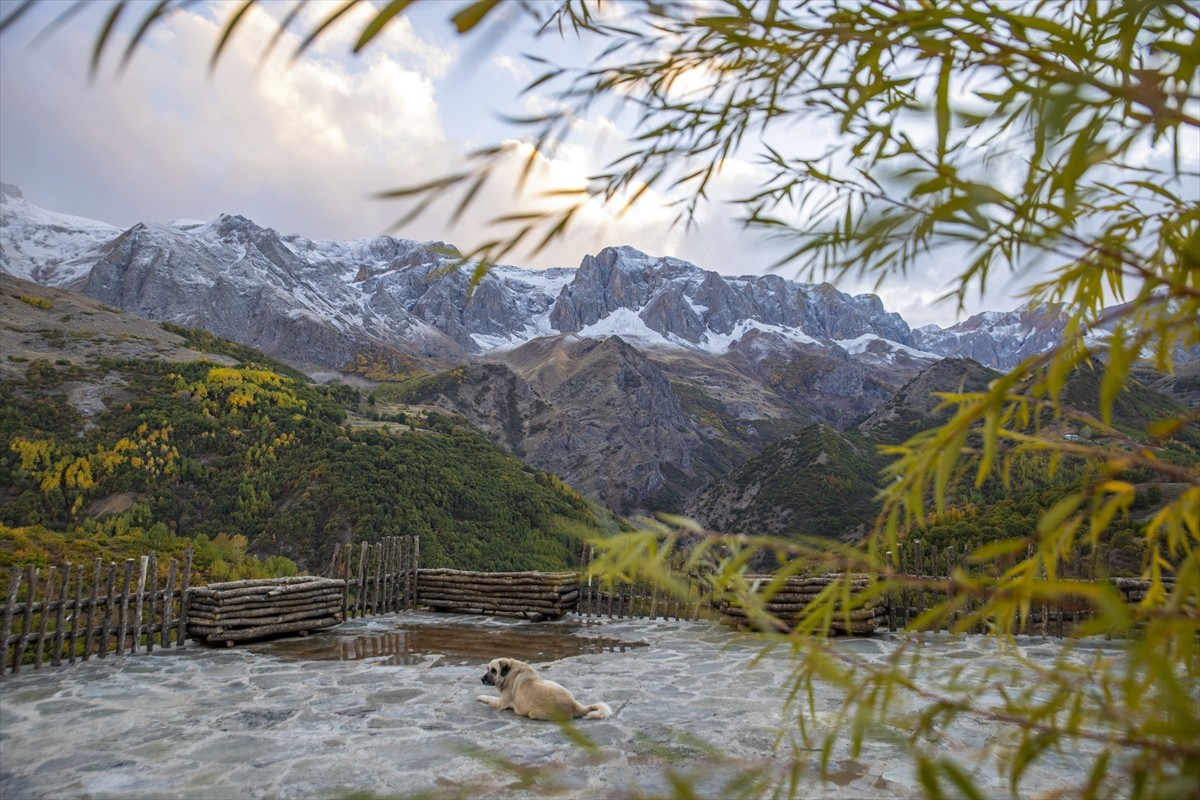 Tunceli'de bazı dağların zirveleri kar yağışıyla beyaza büründü. Kentte hava sıcaklığının...