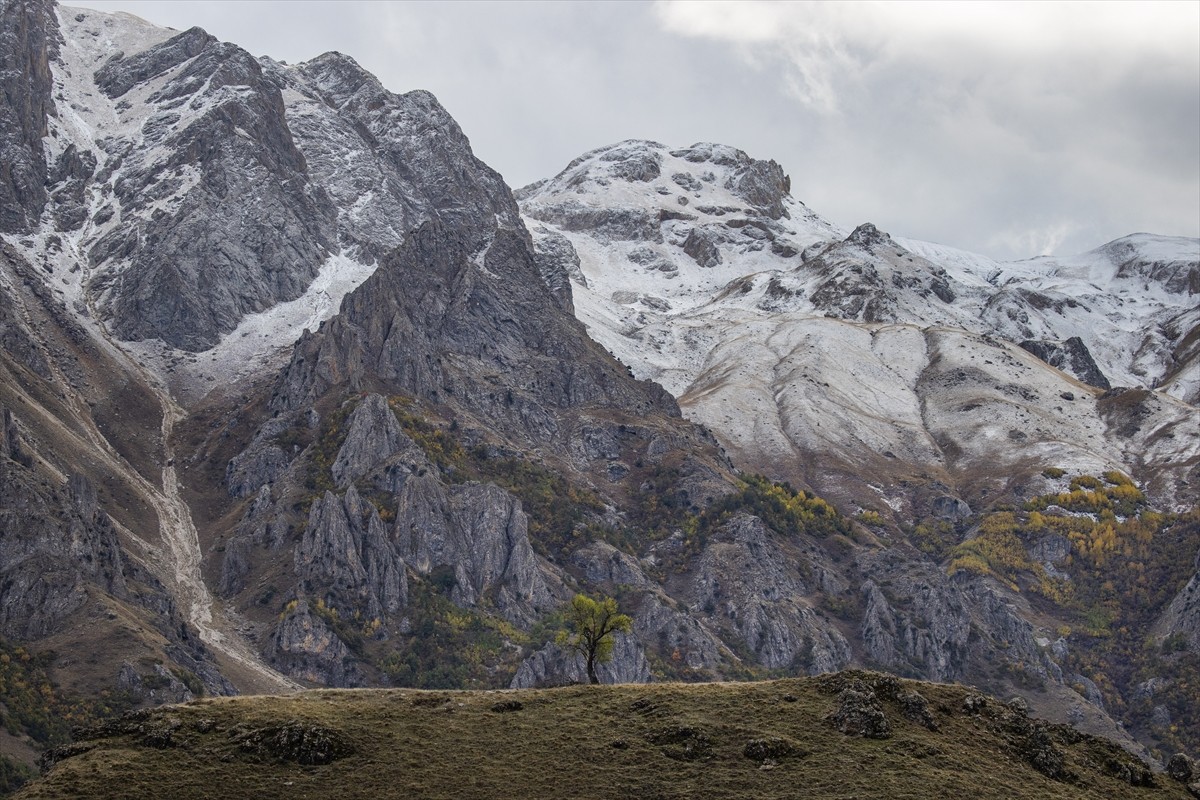 Tunceli'de bazı dağların zirveleri kar yağışıyla beyaza büründü. Kentte hava sıcaklığının...