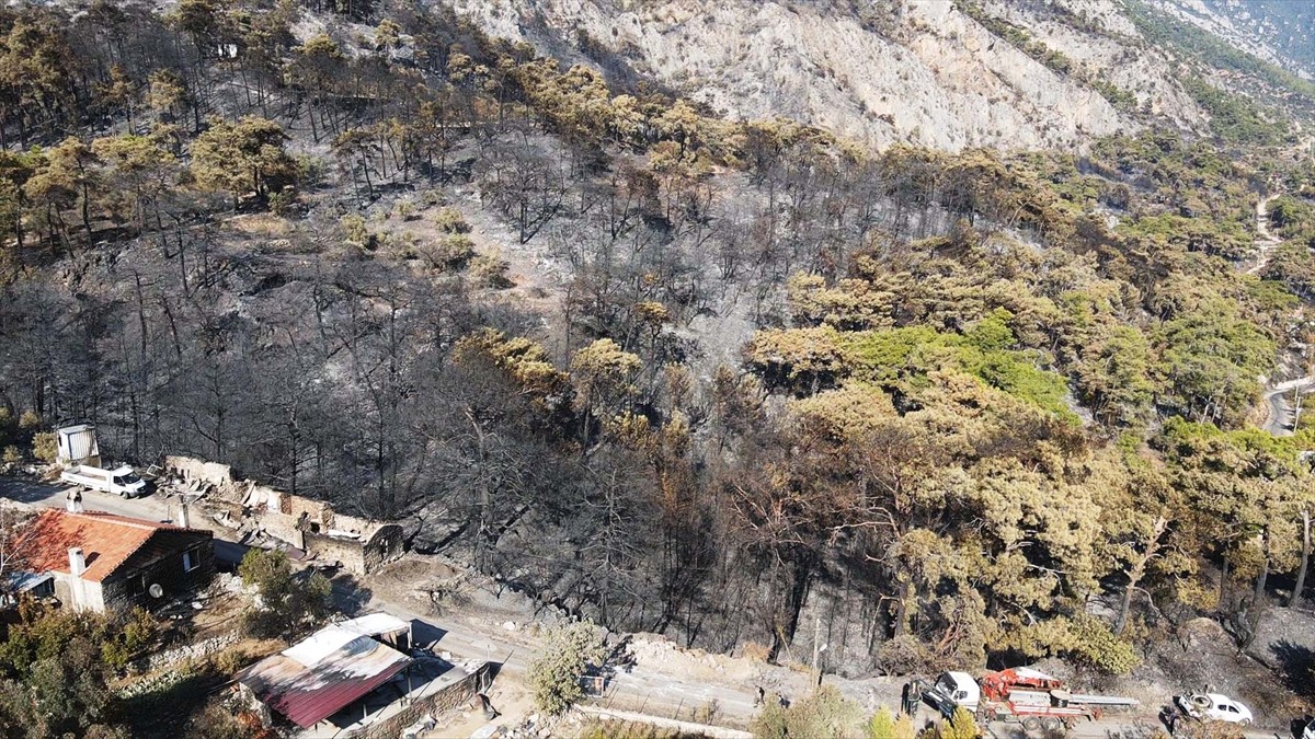 Muğla'nın Menteşe ilçesinde çıkan orman yangınında zarar gören alanlar, Anadolu Ajansı (AA) ekibi...