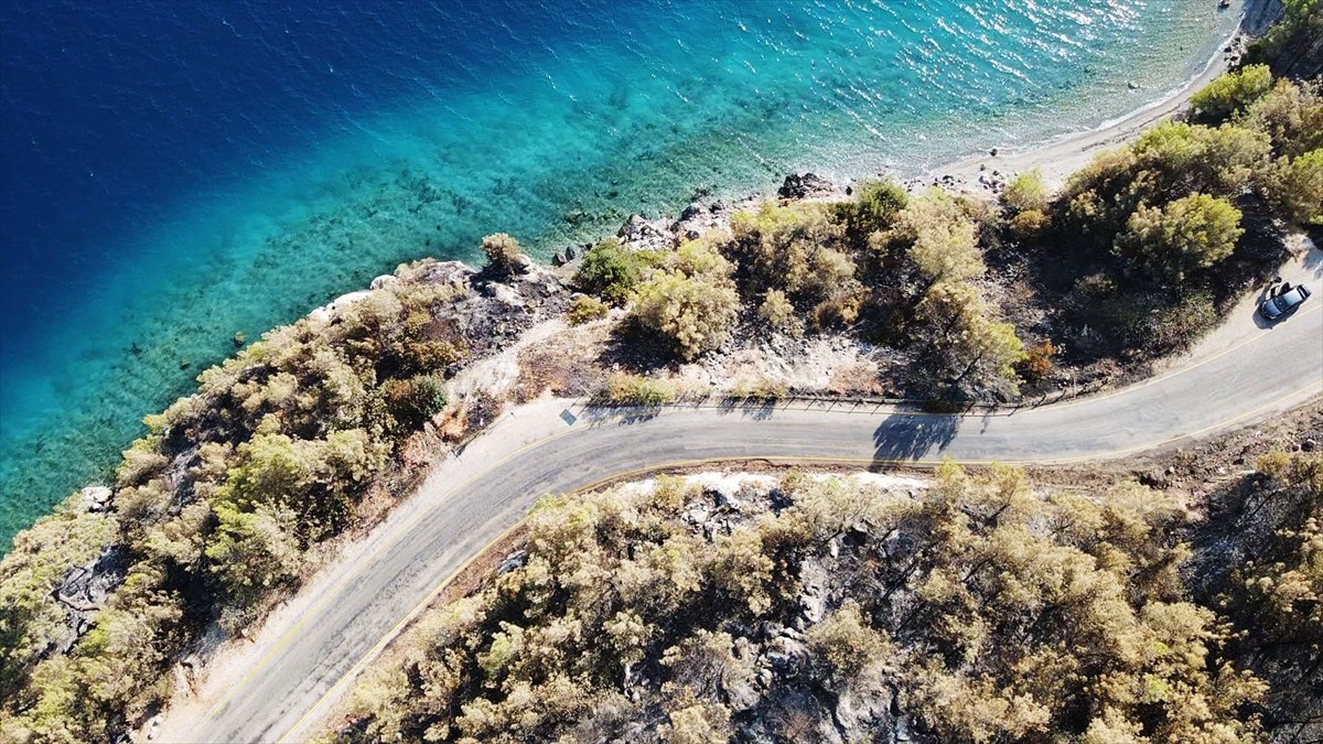 Muğla'nın Menteşe ilçesinde çıkan orman yangınında zarar gören alanlar, Anadolu Ajansı (AA) ekibi...