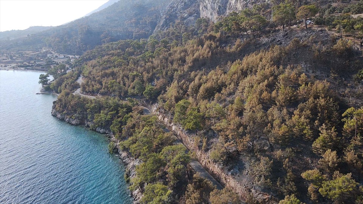 Muğla'nın Menteşe ilçesinde çıkan orman yangınında zarar gören alanlar, Anadolu Ajansı (AA) ekibi...