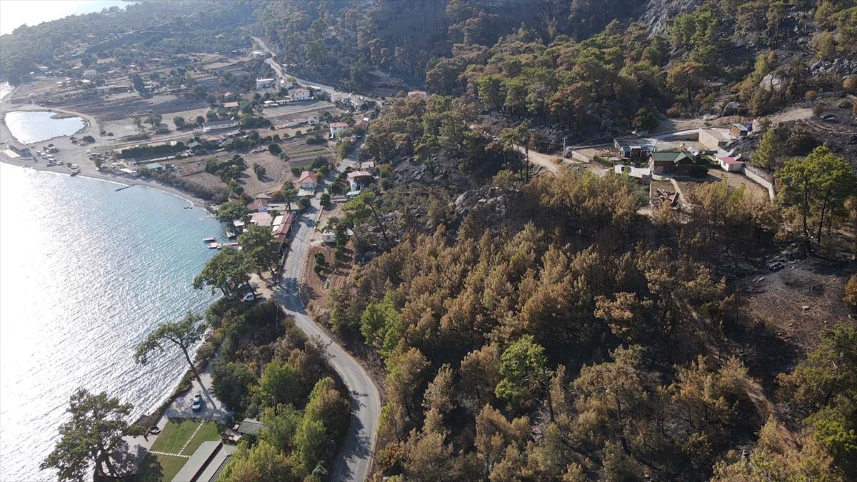 Muğla'nın Menteşe ilçesinde çıkan orman yangınında zarar gören alanlar, Anadolu Ajansı (AA) ekibi...