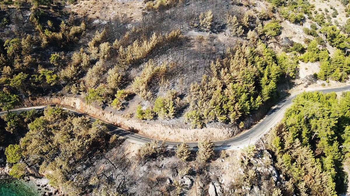 Muğla'nın Menteşe ilçesinde çıkan orman yangınında zarar gören alanlar, Anadolu Ajansı (AA) ekibi...