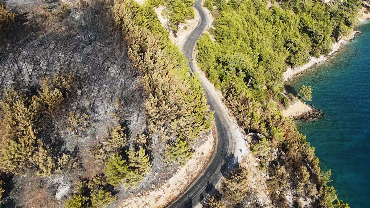 Muğla'nın Menteşe ilçesinde çıkan orman yangınında zarar gören alanlar, Anadolu Ajansı (AA) ekibi...