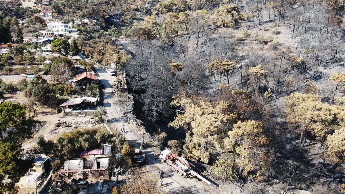 Muğla'nın Menteşe ilçesinde çıkan orman yangınında zarar gören alanlar, Anadolu Ajansı (AA) ekibi...