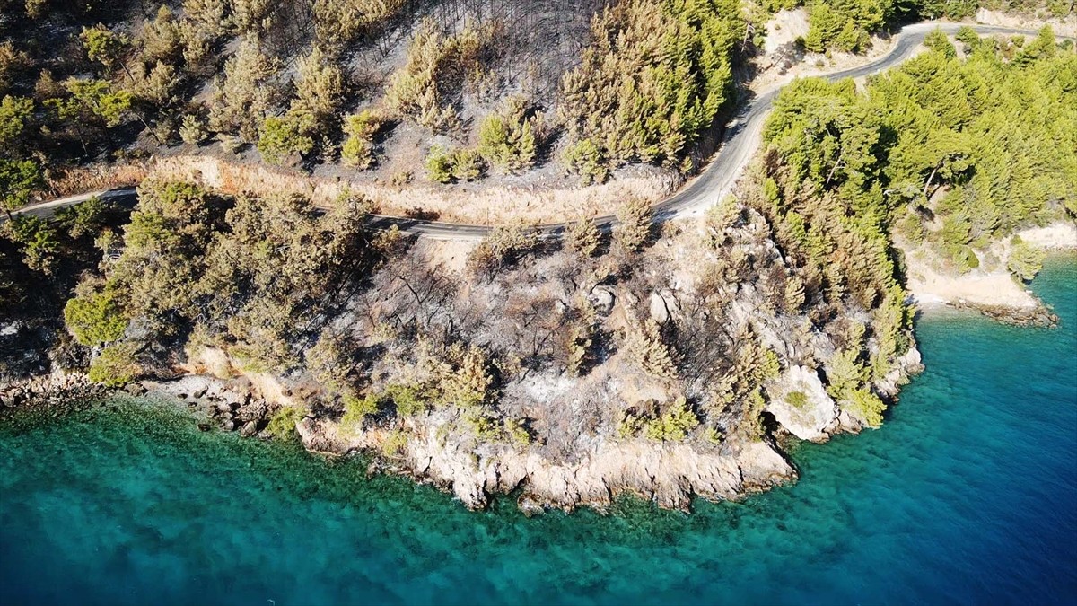 Muğla'nın Menteşe ilçesinde çıkan orman yangınında zarar gören alanlar, Anadolu Ajansı (AA) ekibi...