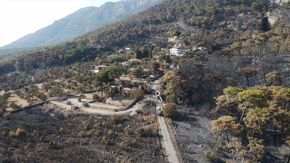 Muğla'nın Menteşe ilçesinde çıkan orman yangınında zarar gören alanlar, Anadolu Ajansı (AA) ekibi...