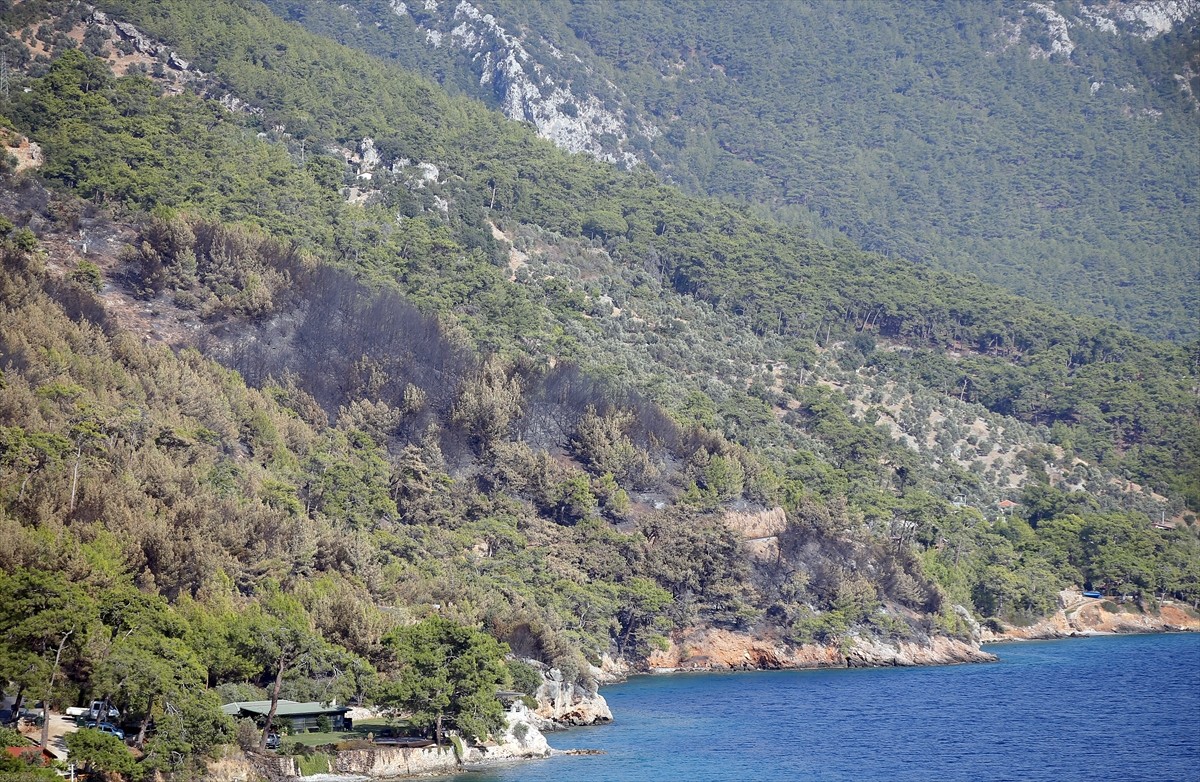 Muğla'nın Menteşe ilçesindeki orman yangını, havadan ve karadan müdahaleyle kısmen kontrol altına...