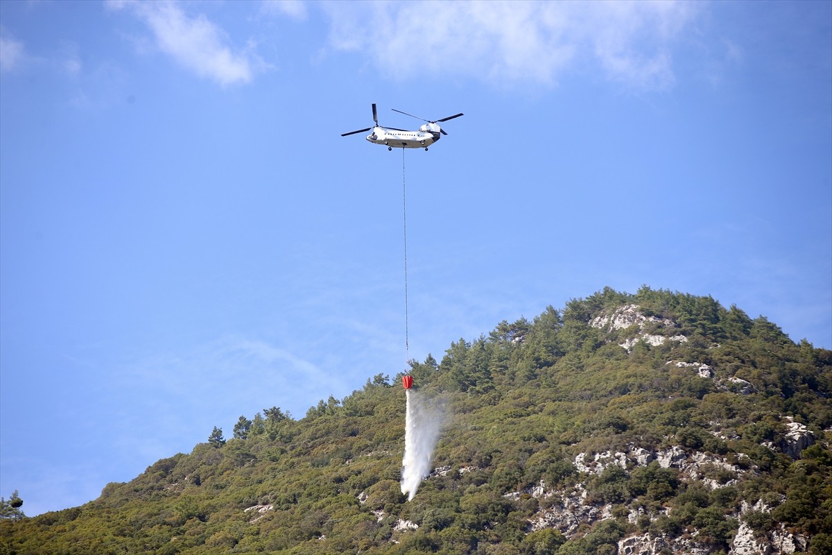 Muğla'nın Menteşe ilçesindeki orman yangını, havadan ve karadan müdahaleyle kısmen kontrol altına...