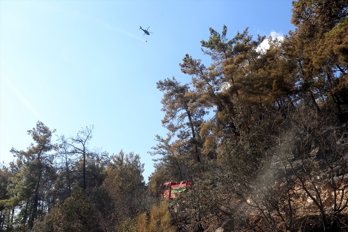 Muğla'nın Menteşe ilçesindeki orman yangını, havadan ve karadan müdahaleyle kısmen kontrol altına...