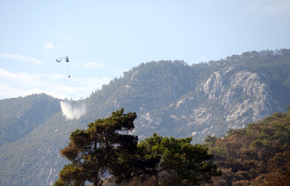 Muğla'nın Menteşe ilçesindeki orman yangını, havadan ve karadan müdahaleyle kısmen kontrol altına...