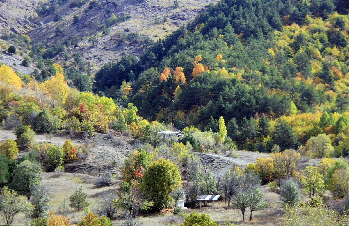 Sivas'ın Doğanşar ilçesindeki Dipsiz Göl ve Dipsizgöl Şelalesi'nin çevresi, sonbaharda doğanın...