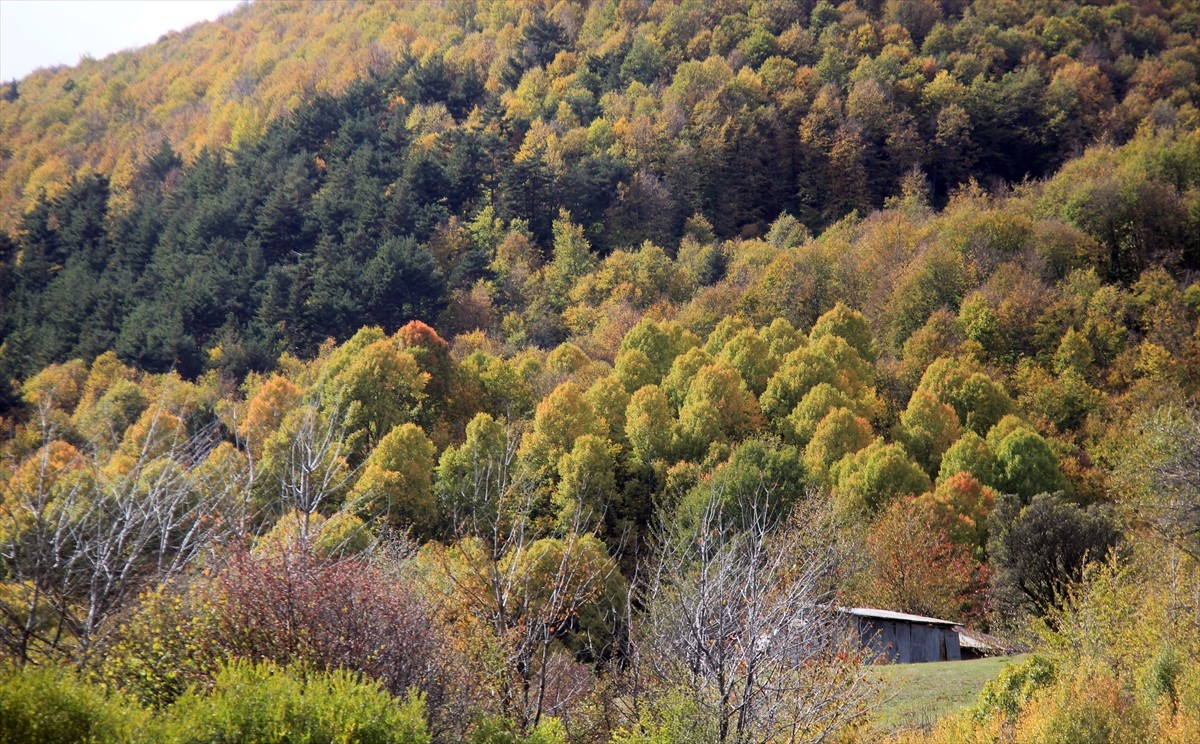 Sivas'ın Doğanşar ilçesindeki Dipsiz Göl ve Dipsizgöl Şelalesi'nin çevresi, sonbaharda doğanın...