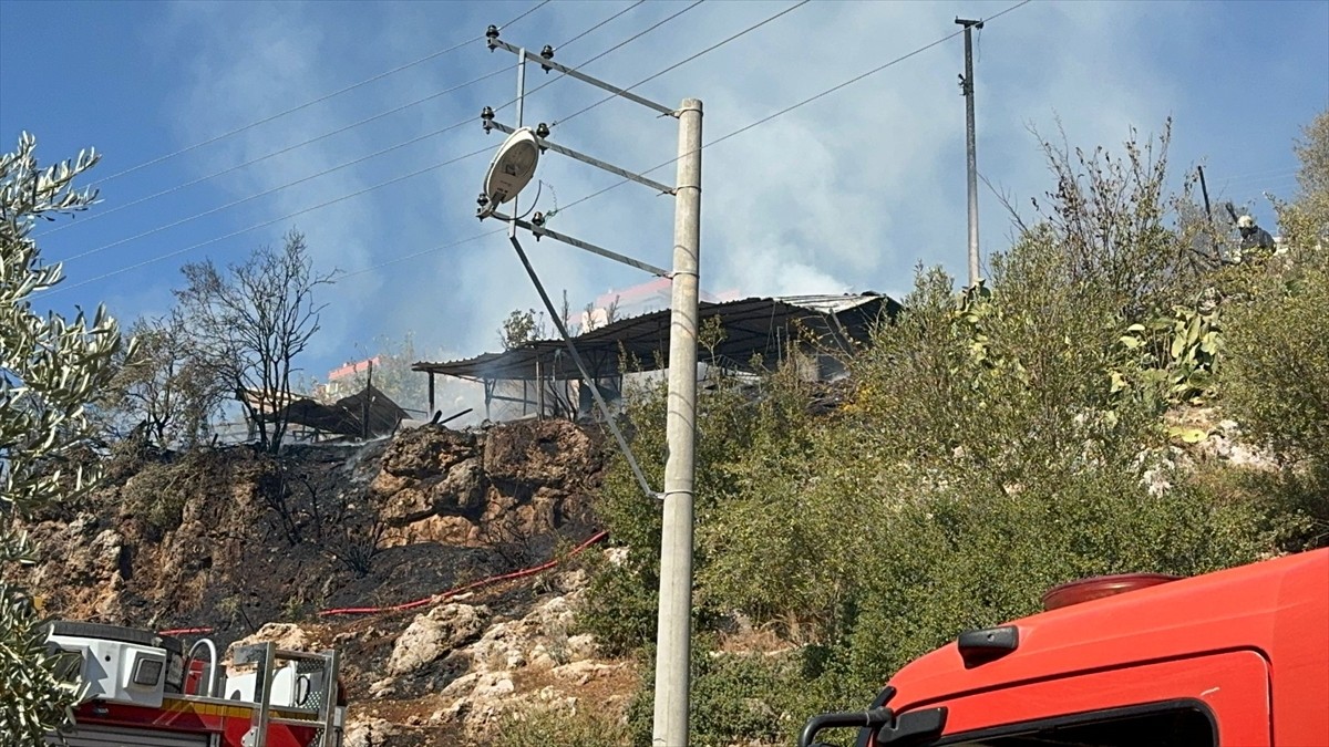 Antalya'nın Kepez ilçesinde bir ağılda çıkan yangında 50 küçükbaş hayvan telef oldu.