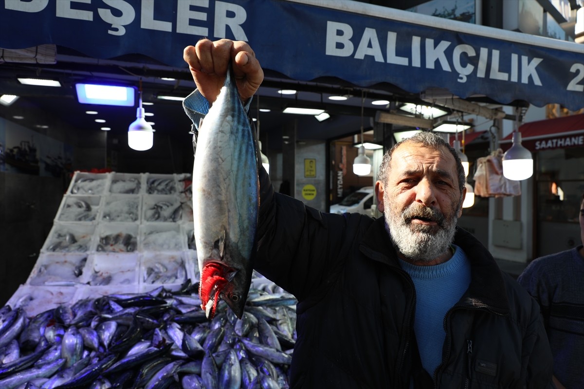 Balık bolluğunun yaşandığı Karadeniz'de başta palamut olmak üzere çinekop, barbun, mezgit...