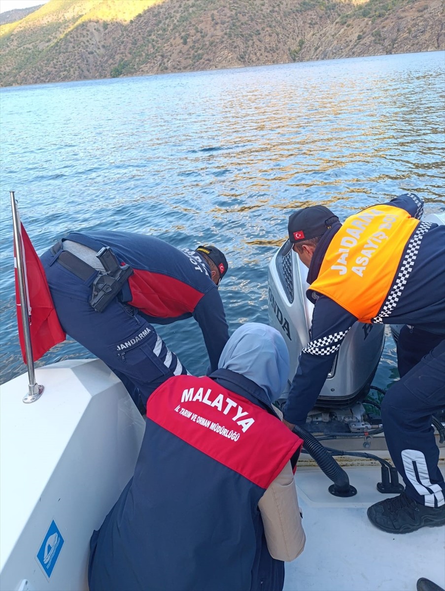  Malatya'da Tarım ve Orman İl Müdürlüğünce Karakaya Baraj Gölü'ne 750 bin balık yavrusu...