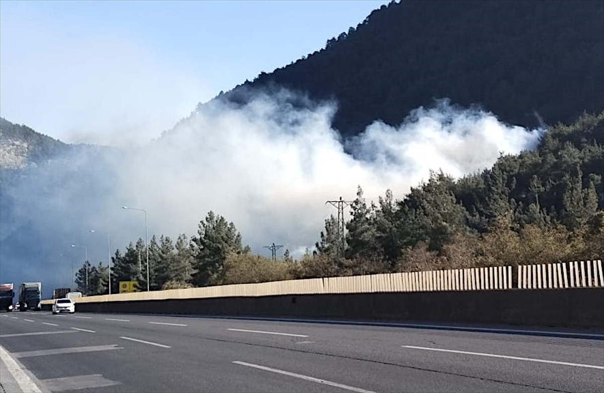 Mersin'in Tarsus ilçesinde, otoyolun kenarındaki ormanlık alanda çıkan yangına havadan ve karadan...