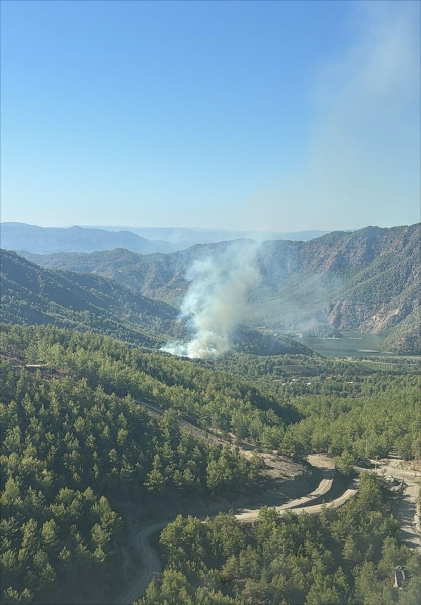 Muğla'nın Dalaman ilçesinde çıkan orman yangınına müdahale ediliyor.