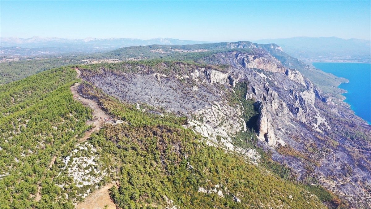 Muğla'nın Menteşe ilçesinde 18 Ekim'de çıkan ve dün sabah kontrol altına yangının diğer...