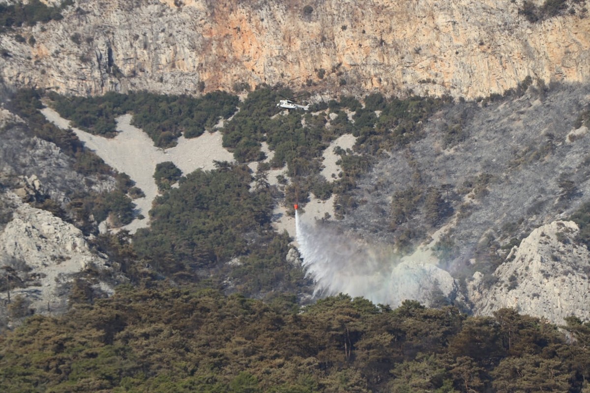 Muğla'nın Menteşe ilçesindeki orman yangını, havadan ve karadan müdahaleyle kontrol altına...