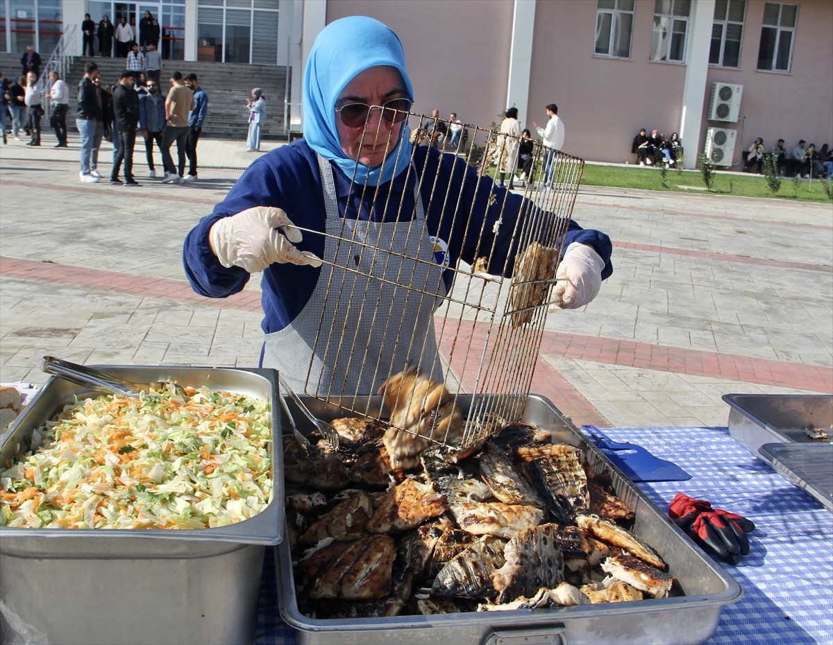 Sinop Üniversitesince düzenlenen Palamut Şenliği’nde bin palamut ızgaralarda pişirilerek...