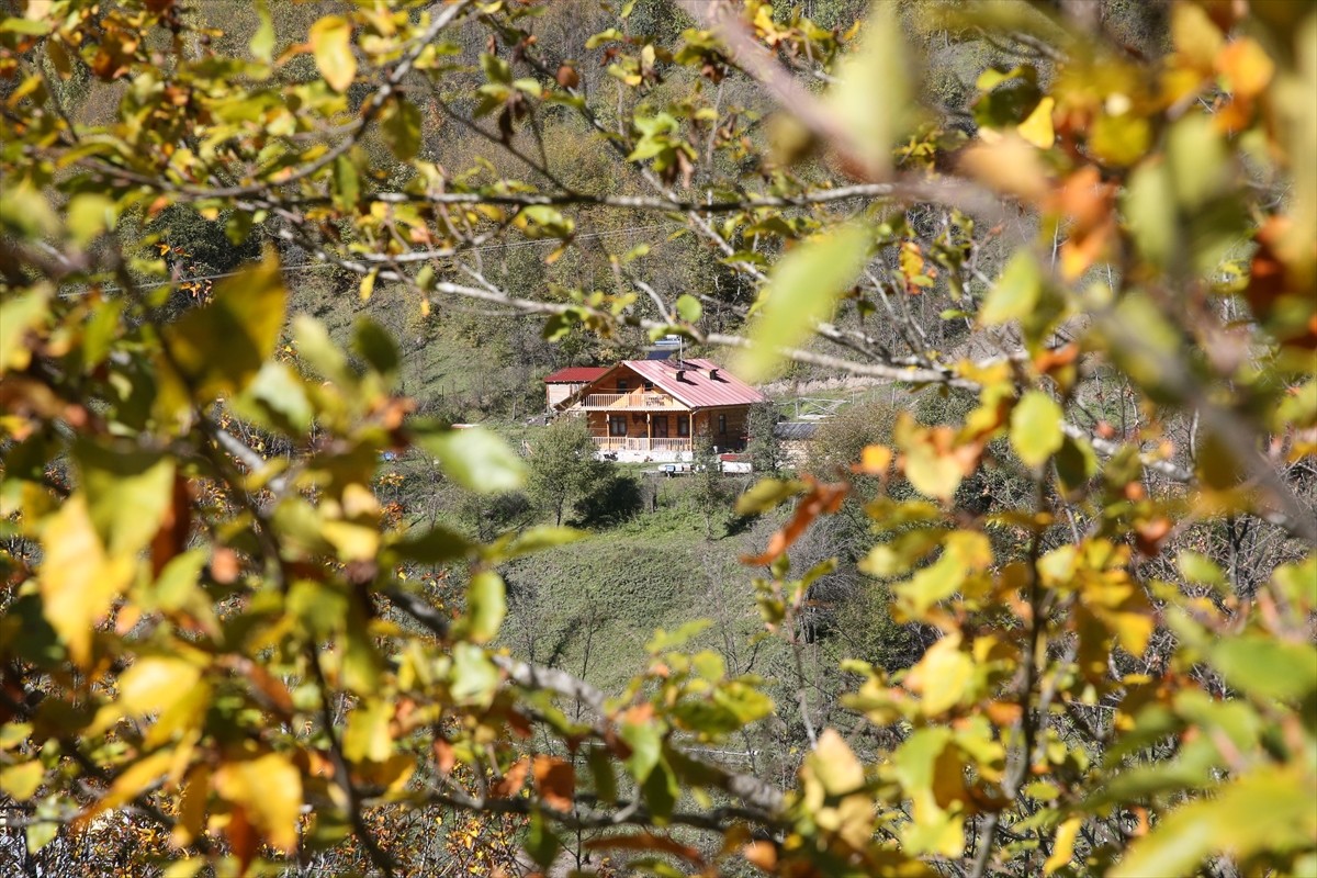 "Anadolu'nun sen yüce bir dağısın" dizeleriyle şarkılara konu olan Ilgaz, sonbahar ve kışı aynı...