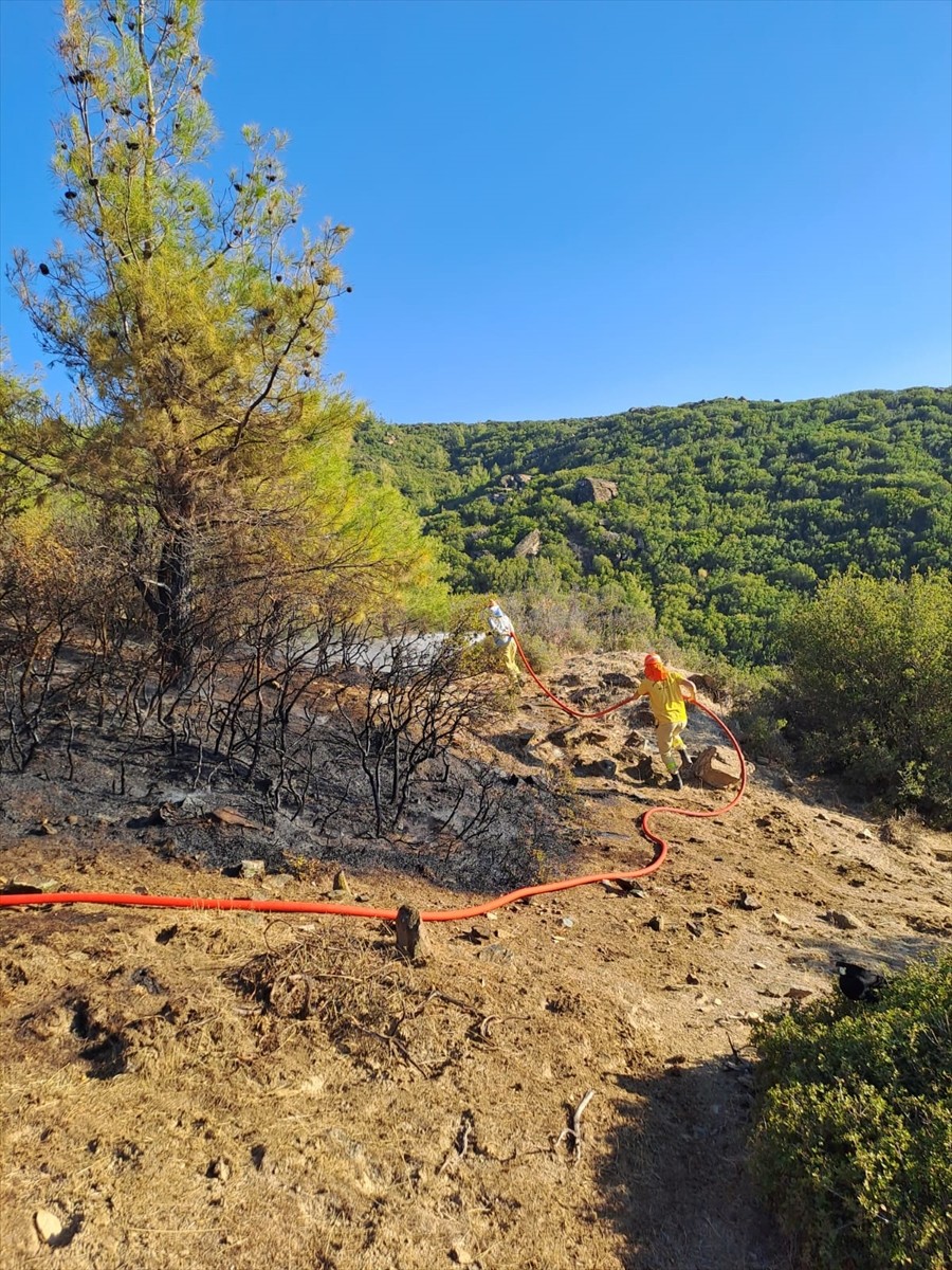 Aydın'ın Nazilli ilçesinde makilik alanda çıkan yangın, ekiplerin havadan ve karadan müdahalesiyle...