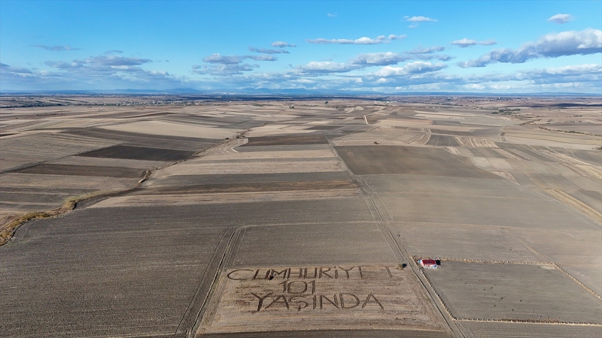 Kırklareli'nin Lüleburgaz ilçesinde çiftçi Burak Tunçkol, tarlasına pullukla toprağa iz bırakarak...