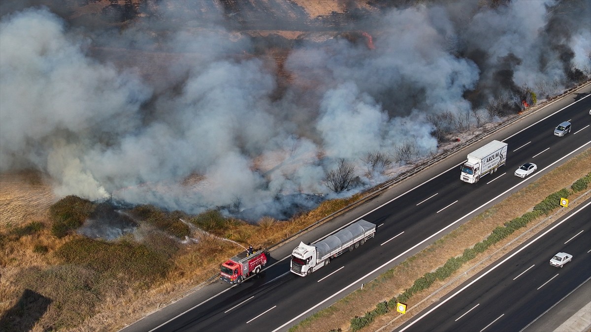 Adana'da otoyol kenarındaki ağaçlık alanda çıkan yangın söndürüldü.