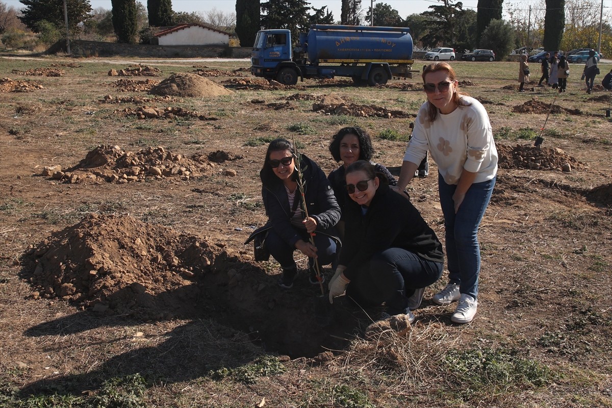 Batı Trakya Türkleri, geçen yıl yaşanan orman yangınlarıyla küle dönen bölgelerin yeniden...